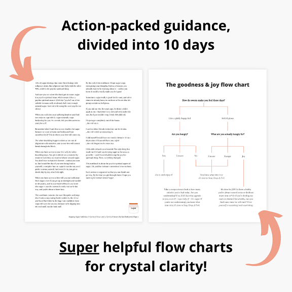Pages from "Stopping Sugar Addiction the Psycho-Spiritual Way" with arrows pointing and labeled as "action-packed guidance divided into 10 days" and "super helpful flow charts for crystal clarity!"