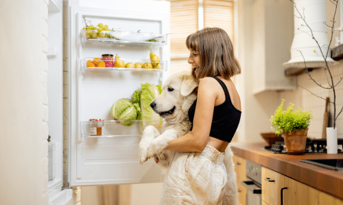woman standing in front of the fridge with her dog too happy to be wondering, if I overeat one day should I undereat the next