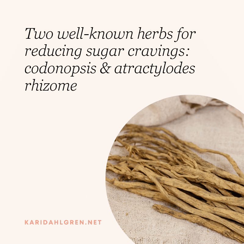 Two well-known herbs for reducing sugar cravings: codonopsis & atractylodes rhizome